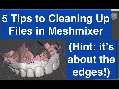 5 Tips to Cleaning Up Edges of Data in Meshmixer to Avoid Errors (Hint: it's about the edges!)