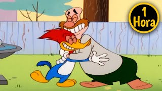 El Pájaro Loco | 1 Hora de Episodios Completos | Woody y Wally se hacen amigos