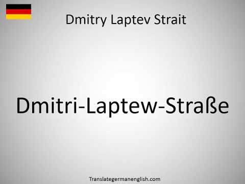 How to say Dmitry Laptev Strait in German?