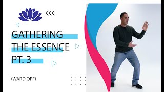 Solace: Gathering the Essence pt3