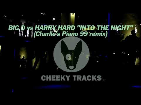 Big D vs Harry Hard - Into The Night (Charlie's Piano 99 remix) (Cheeky Tracks)