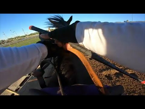 Dr. Miranda Previews The Houston Ladies Classic