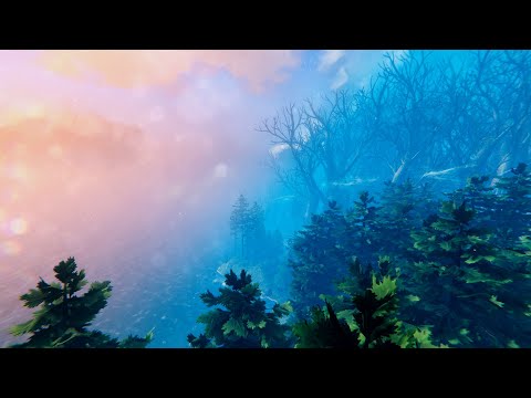 Valheim Music and Ambience - The Black Forest - Relax, Study, Sleep, Vibe - Valheim OST
