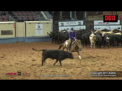 A Judge's Perspective: 2017 AQHA Senior Cutting World Champion