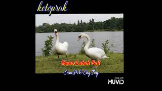 Download lagu Ketoprak Tresno Labuh Pati( Sampek Engtay)@pandawapituchannel9238 #ketoprak #budaya #dagelan mp3