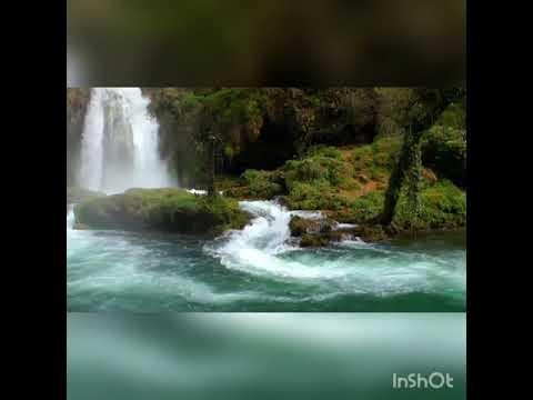 The point: fkrhn aldefrm/ፍቅርህን አልደፍርም! Awutaru kebede/ አውታሩ ከበደ