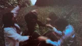 Leppo asks Robyn Hitchcock about The Soft Boys