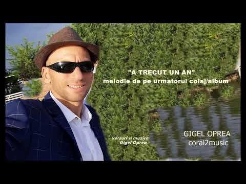 A trecut un an  - Gigel Oprea(Coral2)