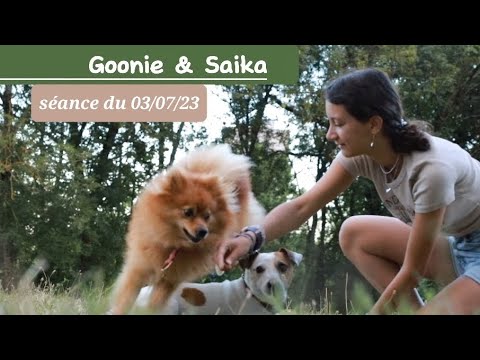 Goonie & Saika entraînement dog dancing du 03/07/2023