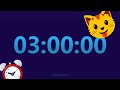3 Hour Timer 3 Hour Alarm Clock