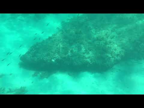 Gajac beach under the sea - Ovčica - Island of Pag - Croatia