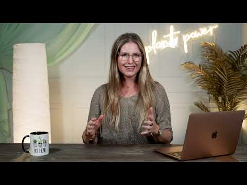 The Sun Mastery of Sea Kelp | Plant Power Highlights