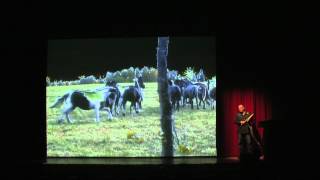 "Horse" - performance by Archer Pechawis Winnipeg Art Gallery