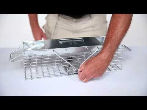 How to Set: Havahart® X-Small 2-Door Trap Model #1025 for Weasels, Rats & Squirrels