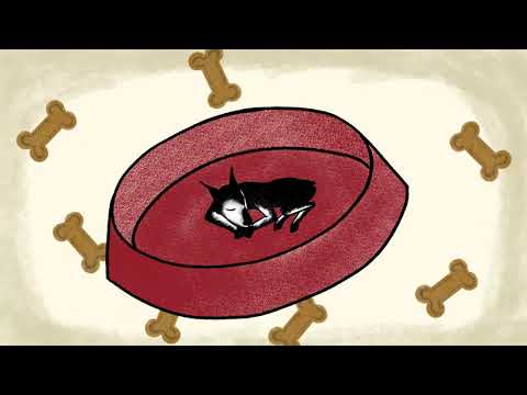 INIS - Animal (Japanese Version) Official Lyric Video