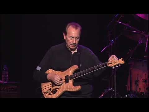 Bumble Bee Rock THE VENTURES