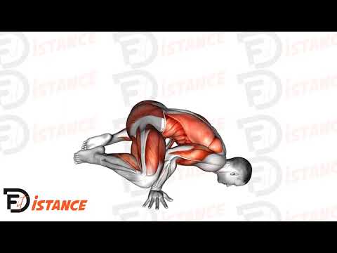 Exercice Planche grenouille (Frog planche)