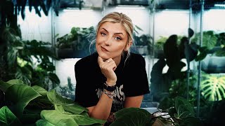 Let's Continue + Worst customers? | Repot With Me
