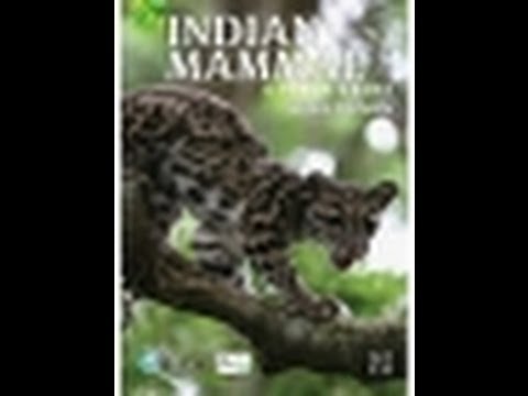 Indian Mammals - A Field Guide by Vivek Menon - Wildlife Trust of India