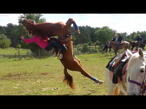 Horse flips on rider