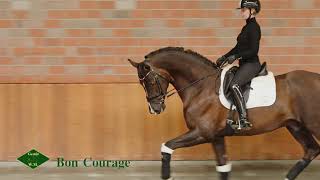 Video von Bon Courage 4