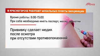 Мобильная вакцинация от гриппа в Красногорске