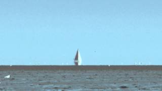 preview picture of video 'WaddenBeleving: wadlopen en droogvallen'