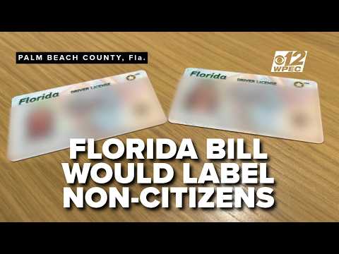 'NC' on licenses for non-U.S. citizens? Florida bill sparks debate