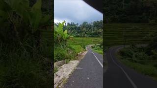 Download lagu Jalan pedesaan 🍃 #shorts #nature #jalan #desa #pedesaan #alampedesaan #kampung #kampunghalaman mp3