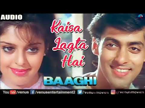 Kaisa Lagta Hai Full Audio Song | Salman Khan & Nagma | Baaghi | 90's Hindi Romantic Songs