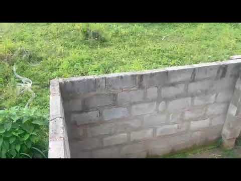Two Plots of Land for Sale