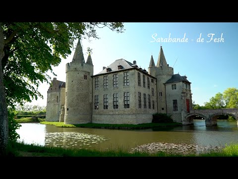 Willem de Fesch: Sarabande-  J. Dupriez, violon baryton