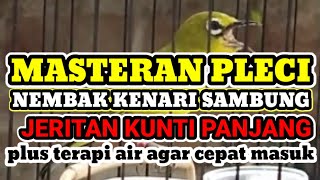 Download lagu MASTERAN PLECI NEMBAK KENARI KUNTI TERBARU mp3