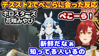 デススト2でぺこらに会った、ホロスタ花咲みやび【ホロライブ切り抜き/兎田ぺこら/ホロスターズ 花咲みやび】