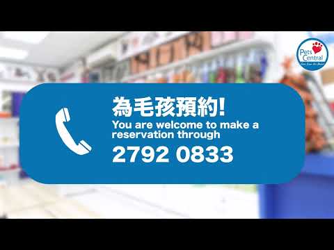 Pets Central 西貢 寵物美容 ｜ Pets Central Sai Kung Grooming