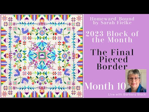 Block of the Month 2023 - Homeward Bound - Month 10 Final Pieced Borders