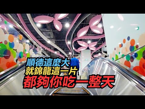 順德這麼大 就錦龍這一片都夠你吃一整天