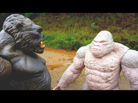 Gorilla Rampage Vs King Kong Story | My Collection Surprise Toys & Unboxing | BOBOTV