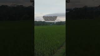 Download lagu Sekecil apapun kebaikan mu jangan kau umbar bila tidak ingin hilang pahalamu #fypp #viral #aminn mp3