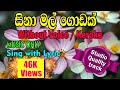 Sina Mal Godak සිනා මල් ගොඩක් Keroki Without Voice Music Track Without Voice