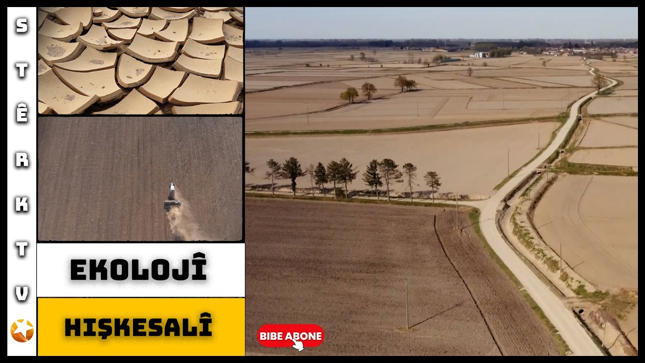 Ekolojî - Hişkesalî