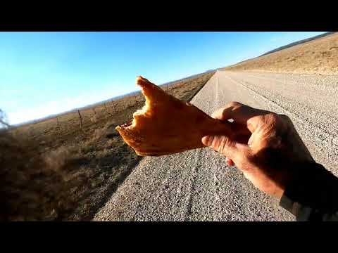 CDT 2021 thru hike/ What the PANDEMIC episode 5