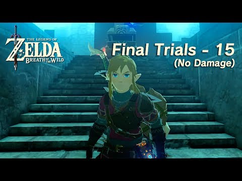 Final Trials 15 (No Damage) (The Legend of Zelda: Breath of the Wild Trial of the Sword DLC)