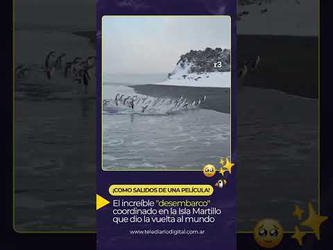 ¡UNA ESCENA SOÑADA EN EL FIN DEL MUNDO! ❄️🌊