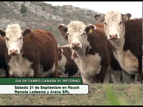 Dia de Campo - Cabaña El Retorno - Remate en Rauch Sabado 21 de Septiembre