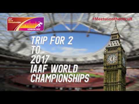 ADA AutoCircuit: Kingston Edition