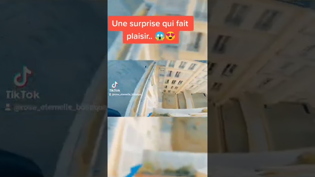 Rose Eternelle La Boutique | Découvrez nos Magnifique Rose Eternelle