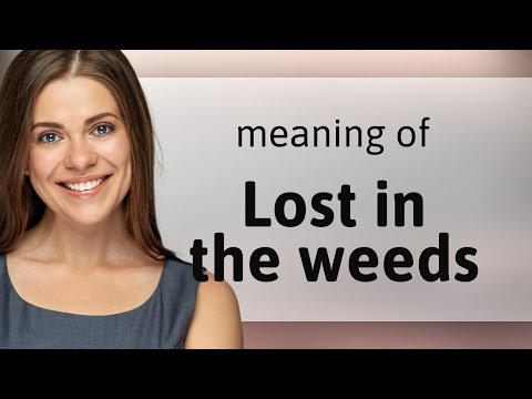 Getting Unraveled: Understanding "Lost in the Weeds"