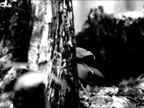 TyLean :  ' Love Always Dies'