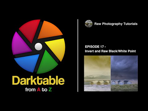 darktable from A to Z: 17 - Invert and Raw Black/White Point